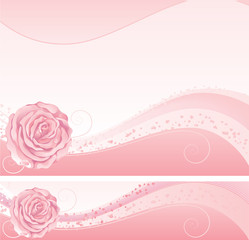 vector background and banner with pink rose.