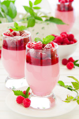 Raspberry dessert panna cotta, selective focus.