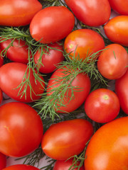 fresh tomatoes background