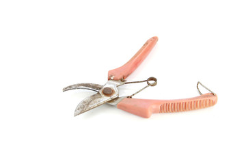 Old Pruning Shears tool isolated.