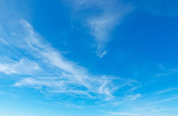 blue and white