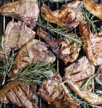 lamb grilled