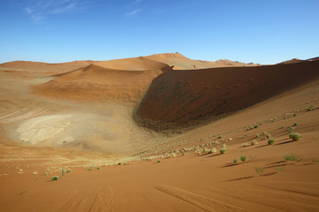Fototapeta na wymiar Between the dunes at Sossusvlei
