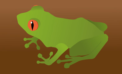 Green frog