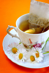 chamomile