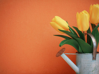 Tulip flowers on orange © Mandrixta