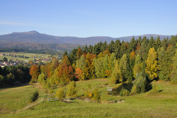 Bayerischer Wald