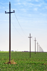 Fototapeta na wymiar Telephone poles in the field