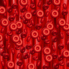 illustration of red blood cells flowing through vein or artery