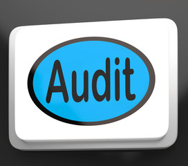 Audit Button Shows Auditor Validation Or Inspection