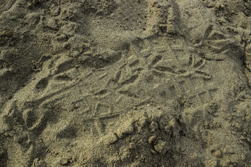 Sand surface with traces of birds Background
