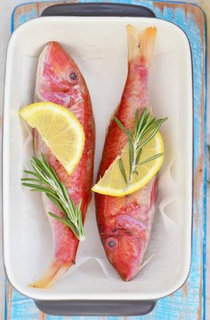 surmullet