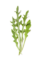 Obraz premium Fresh Ruccola