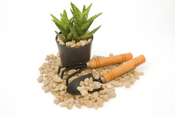 pumice pebbles  in cray pot and gardening tool