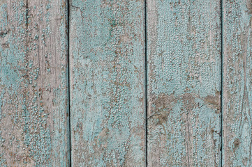 Old rustic blue plank fence background