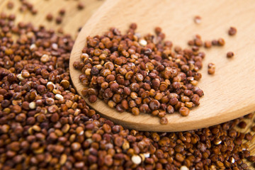 Red Quinoa grain