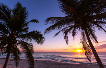 Tropical beach