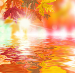 herbststimmung Wasser Spiegelung der Blätter