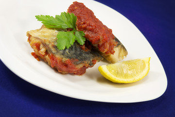 Fish with tomato sous on plate.