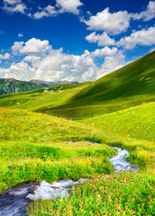River on mountain meadow. Beautiful natural landscape