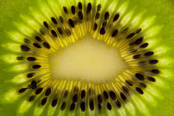 fruit  of fresh green sliced kiwi macro