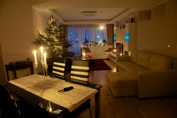 Christmas tree in apartment