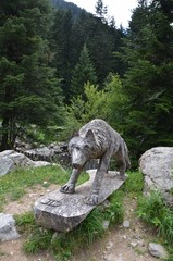 Parc national du mercantour 