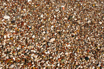 Sea pebble