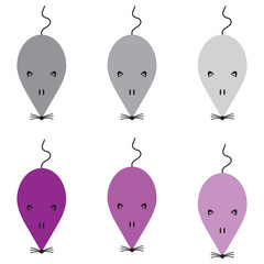 Mice top view
