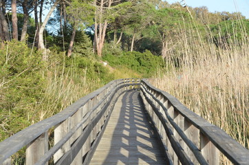 path in natural reserve