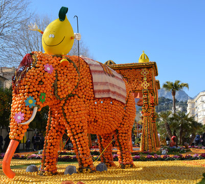 El&eacute;phant en citrons
