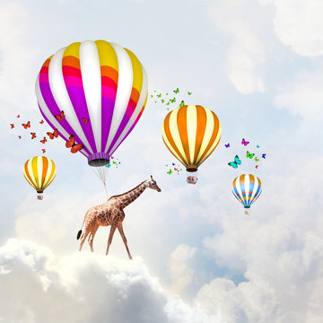 Flying giraffe