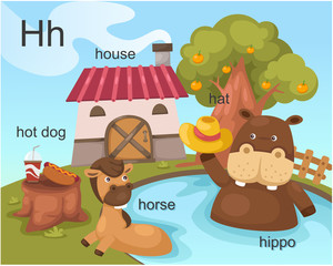 Alphabet.H letter.hot dog,house, hat ,horse,hippo.