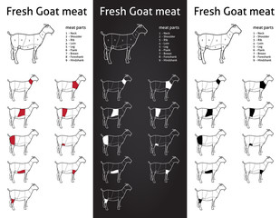 FRESH GOAT meat parts Icons for packaging and info-graphic 1
