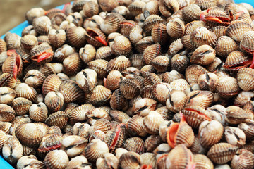 Fresh cockles at the market