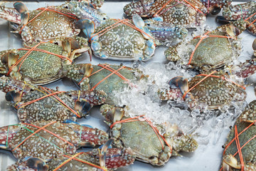 Fresh crab in the market