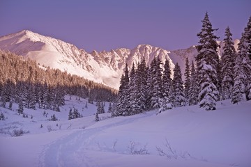 Fototapeta premium Scenic Winter Colorado