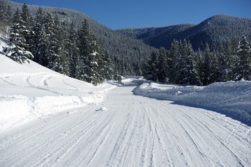 Obraz premium Backcountry Colorado Road