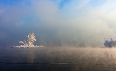 island with trees in the middle of the water, covered by fog