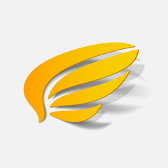 realistic design element: wing