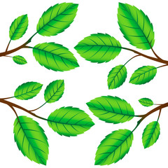 Vector square background with brunches and leafs. Eco concept. N