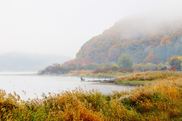 Misty lake in autumn