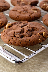 Fresh homemade chocolate cookies