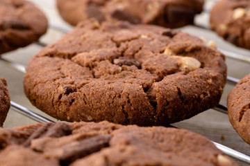 Fresh homemade chocolate cookies