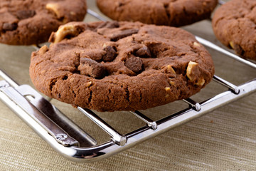 Fresh homemade chocolate cookies