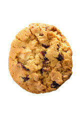 Fresh homemade cookie