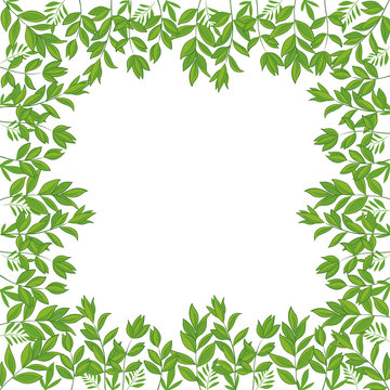 Background, frame of green leaves