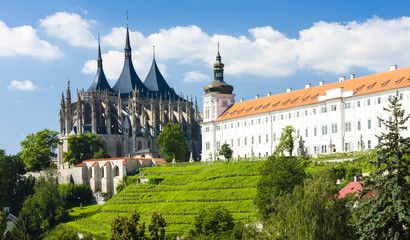Fototapeta na wymiar Katedra św Barbary i kolegium jezuickiego, Kutna Hora, Czech R