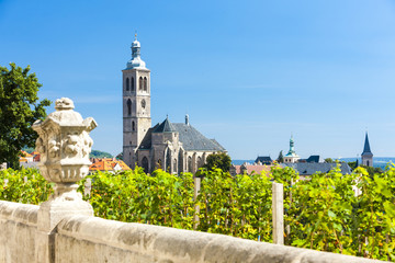 Church of St. James with vineyard at front, Kutna Hora, Czech Re