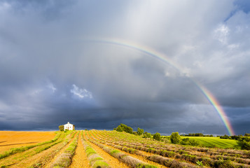 chapel with lavender field and rainbow, Plateau de Valensole, Pr